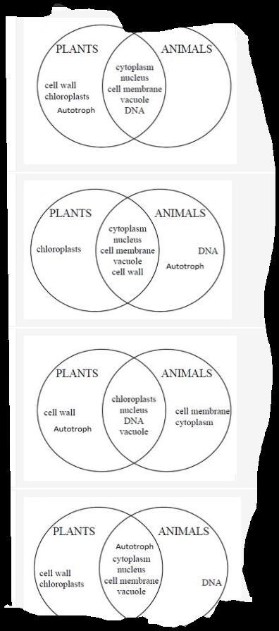 Which Venn diagram most accurately compares and contrasts plant and animal cells?-example-1