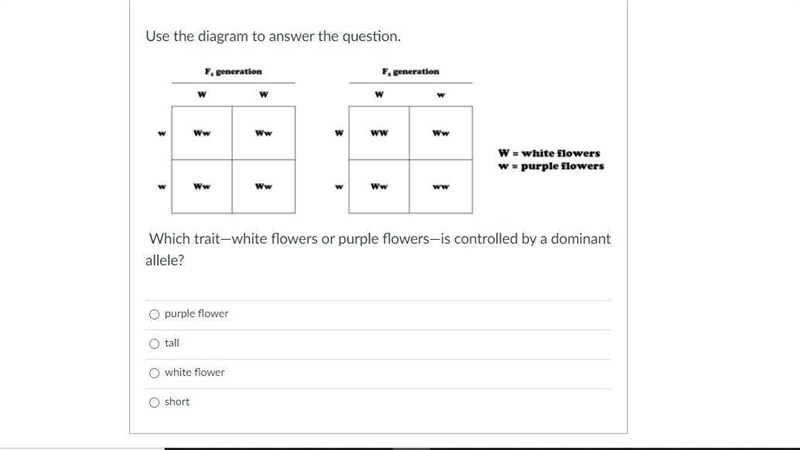 Help! question in picture!-example-1