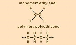 1.How does ethylene relate to polyethylene? 2.Which of the two molecules would most-example-1