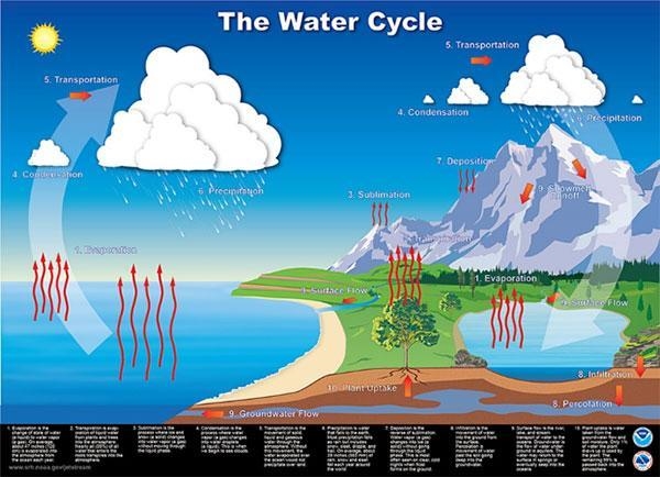 Is this a scientific model? Use complete sentences to explain why or why not Public-example-1