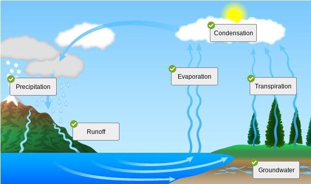 Type one to two paragraphs describing the full water cycle. Be sure to use full sentences-example-1