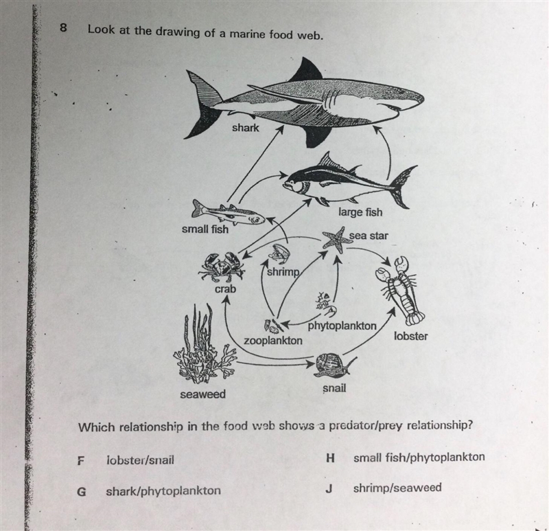 I'm not sure what the answer is but i think it's F please tell me kf i'm right or-example-1