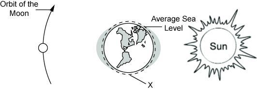 PLEASE HELP! The diagram illustrates the effect of the Moon's and the Sun's gravity-example-1