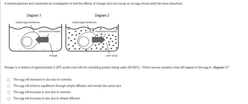 Pls help I'm not trying to get a bad grade-example-1