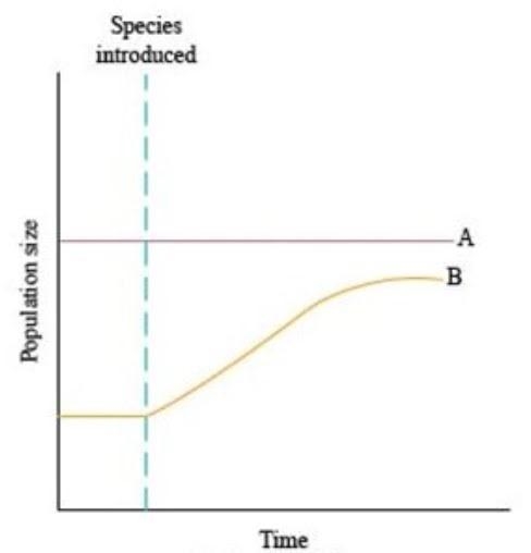 Which ecological relationship is best represented by this graph? Note: Species A's-example-1