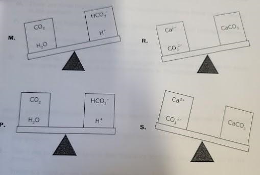 Which diagram correctly represents the mass of one of the chemical reactions? M, P-example-1