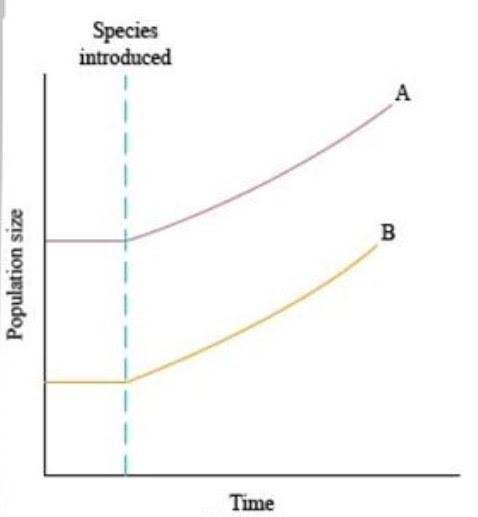 Which ecological relationship is best represented by this graph? Note: Species A's-example-1