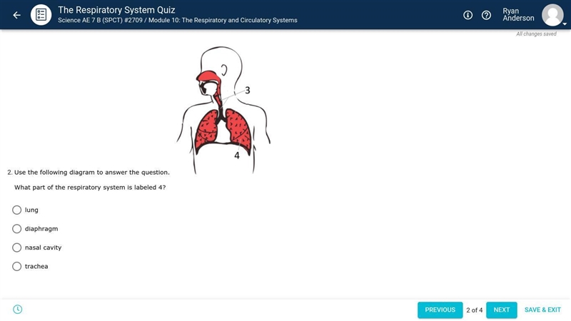 Use the following diagram to answer the question. What part of the respiratory system-example-1