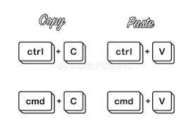 How would you copy and paste?-example-1