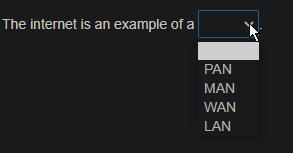 Complete the sentence. The internet is an example of a ___ .-example-1