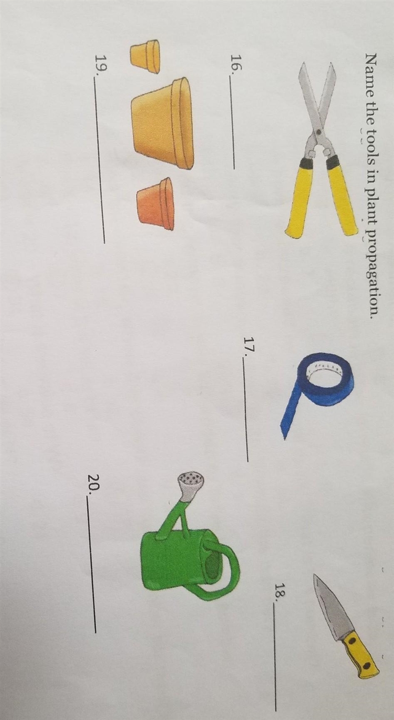 Name the tools in plant propagation. Q 18. 16. 17. 19. 20. please po asap​-example-1