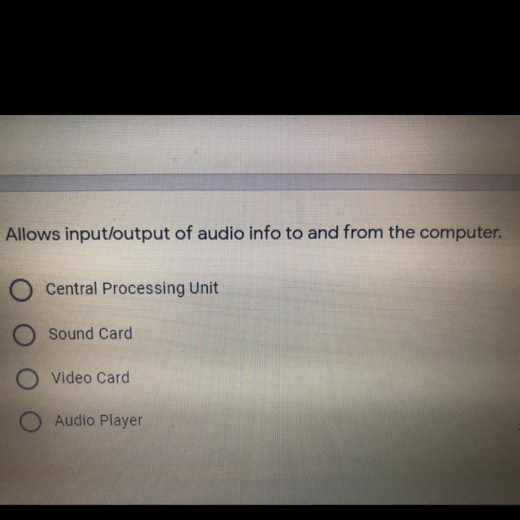 Allows input/output of audio info to and from the computer. A. Central Processing-example-1