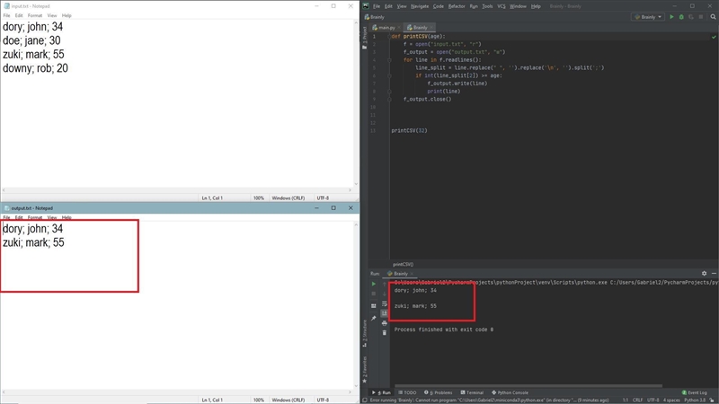 Starting from the input.Txt file which contains surname, name and age separated by-example-1