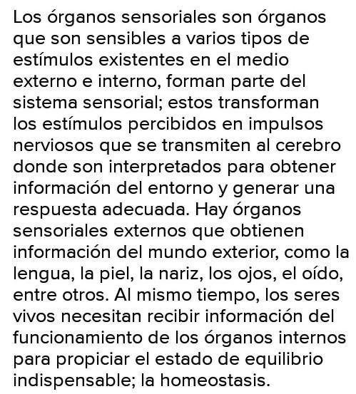 Los organos de los sentidos perciben de la misma manera un estimulo?porque?-example-1