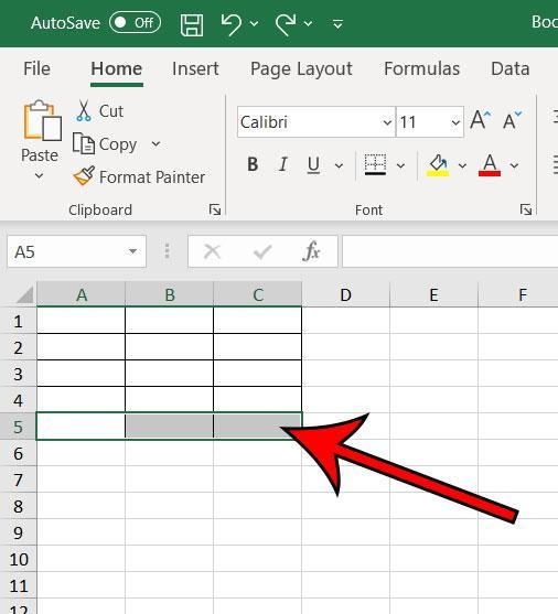 The lines that can be formatted to display on the edges of cells are called _______. style-example-1