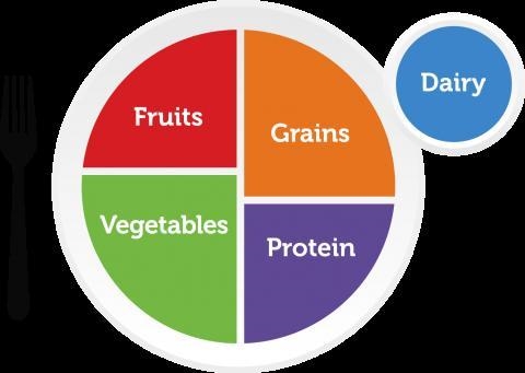 MyPlate was created to __________. A. To encourage Americans to eat the same quantity-example-1