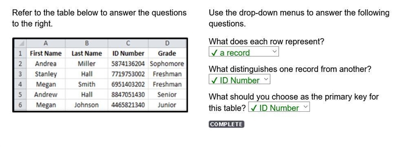 What does each row represent? What distinguishes one record from another? What should-example-1