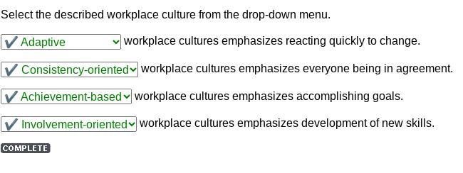 Select the described workplace culture from the drop-down menu. workplace cultures-example-1