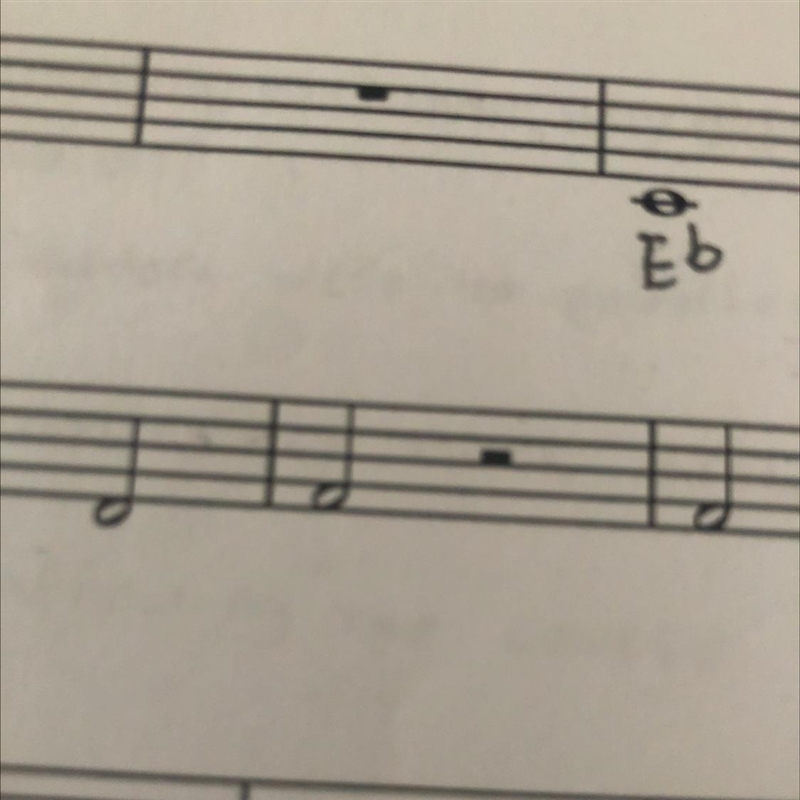 What note for percussun is this??-example-1