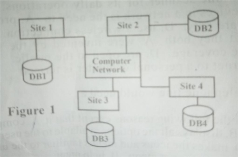 What does the image depict: a. a distributed database b. a parallel database c. an-example-1