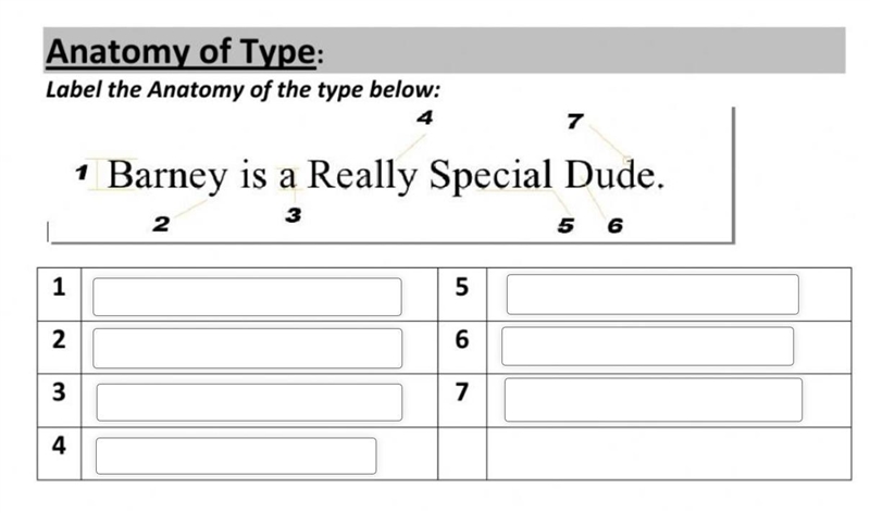 Label the anatomy of the type below-example-1