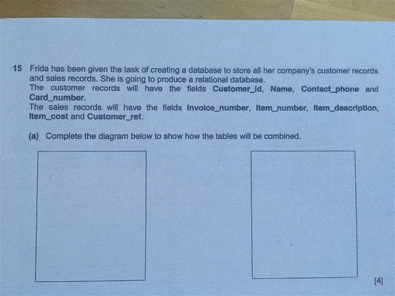 Frida has been given the task of creating a database to store all her company's records-example-1