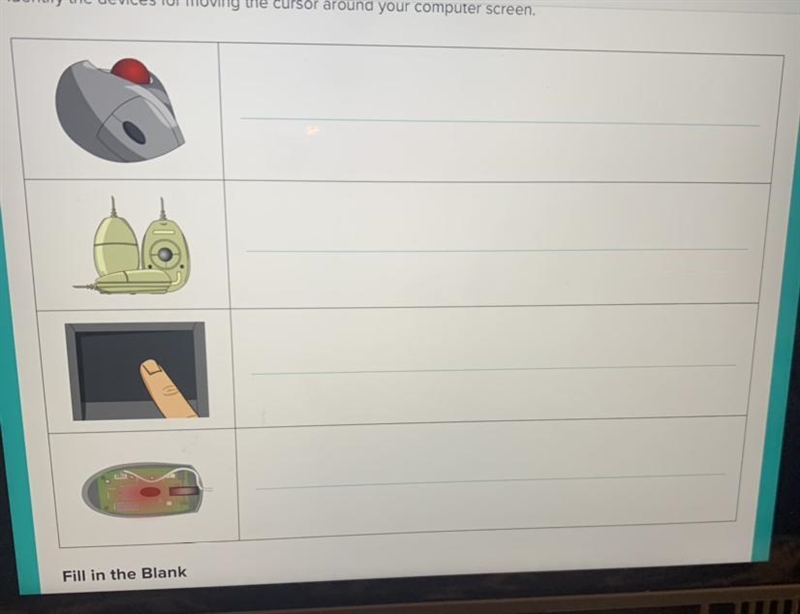 Worksheet Identify the devices for moving the cursor around your computer screen￼-example-1