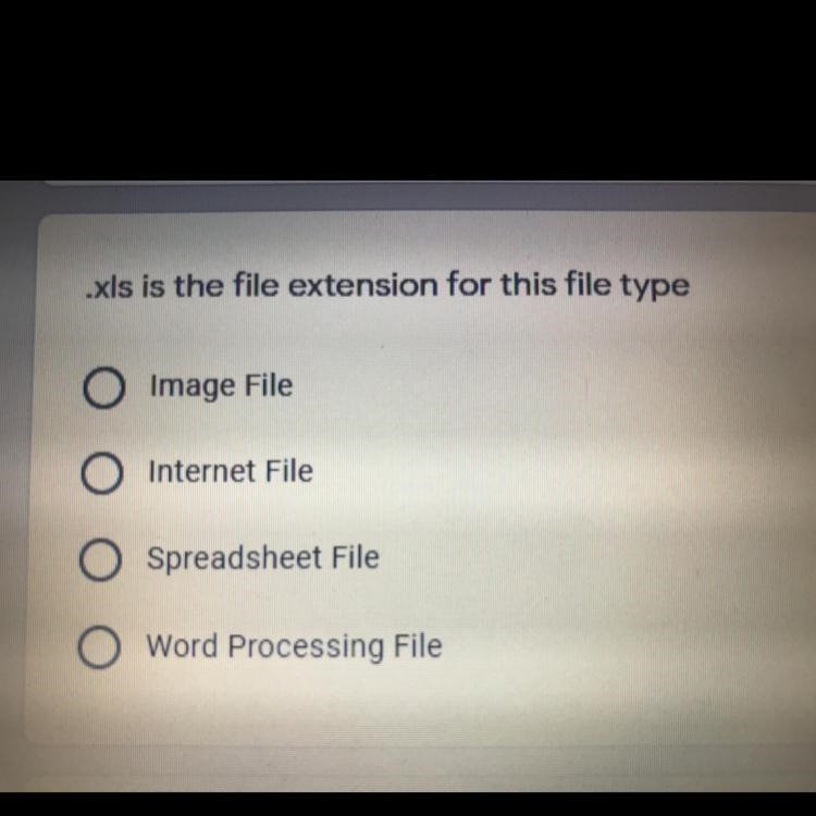 .xls is the file extension for this file type A. Image File B. Internet File C. Spreadsheet-example-1