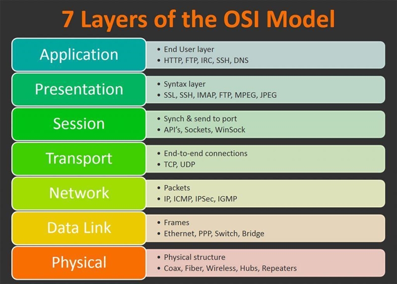 Describe the seven layers of the OSI Reference Model.-example-1