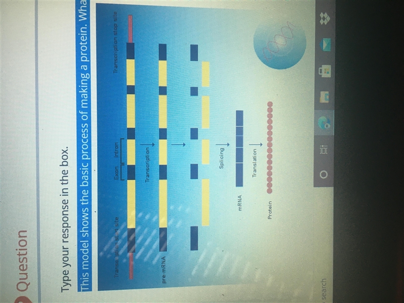 Here is the model I’m working on and can’t figure it out this model shows the basic-example-1