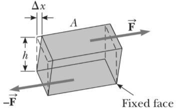 Using a small cube as a representative volume of material, illustrate graphically-example-2