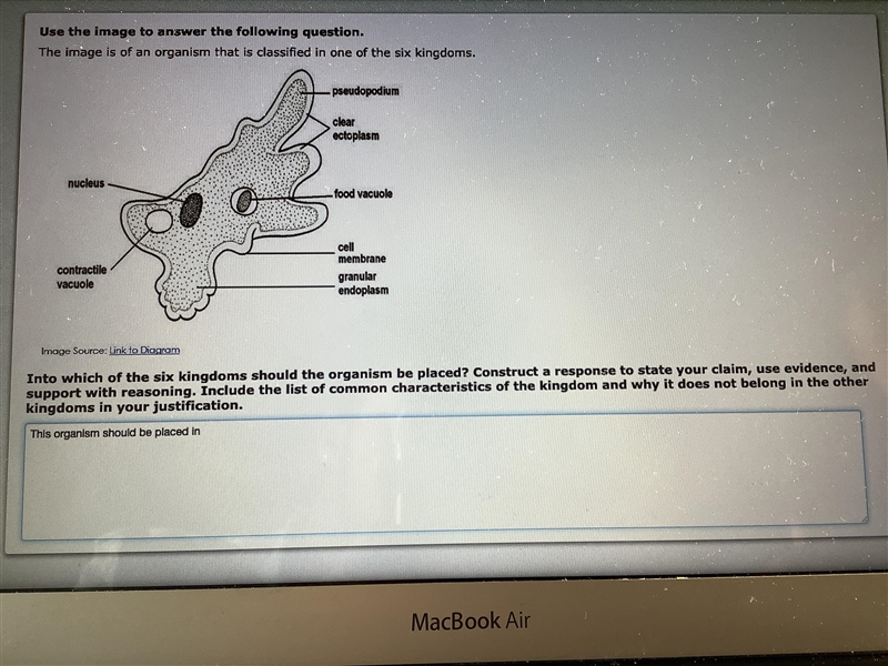 Into which of the six kingdoms should the organism be placed? Construct a response-example-1