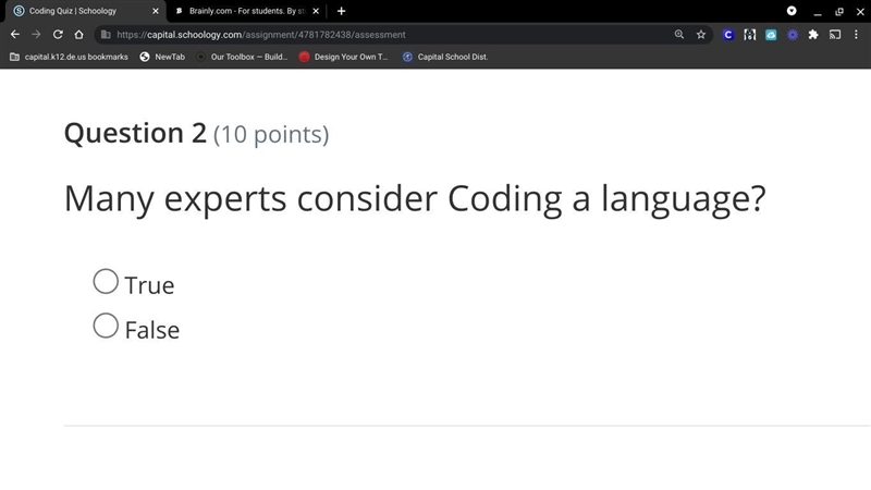 Many experts consider Coding a language? true or false-example-1