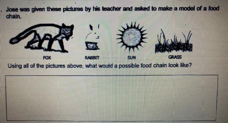 What would a possible food chain look like-example-1