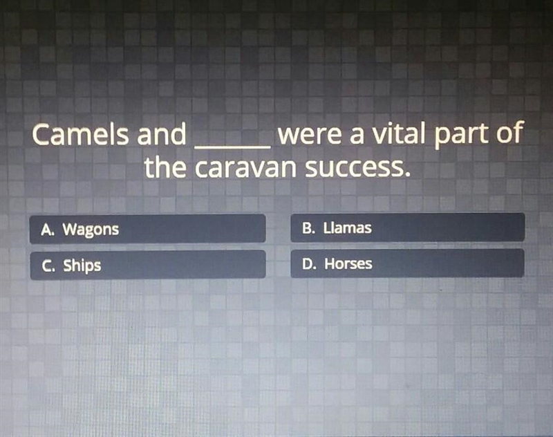 Camels and were a vital part of the caravan success. A. Wagons B. Llamas C. Ships-example-1