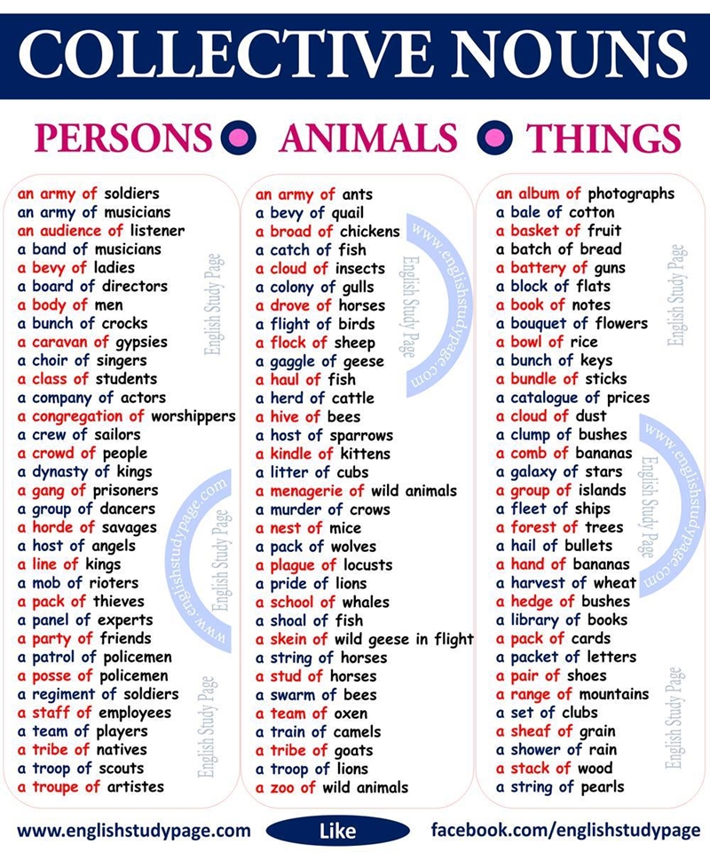 List of collective nouns-example-1