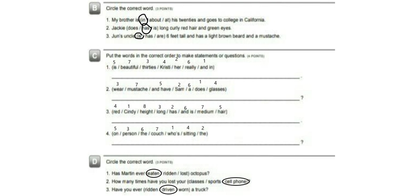 Place solve anyone please answer my questions ​-example-1