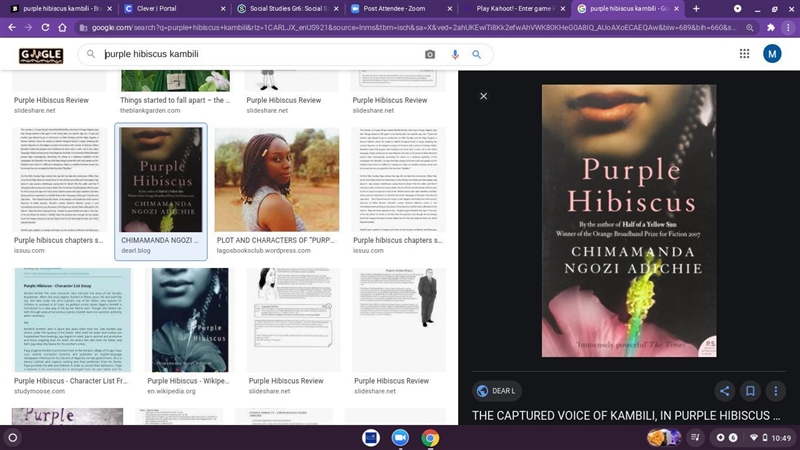 Purple hibiscus kambili-example-1