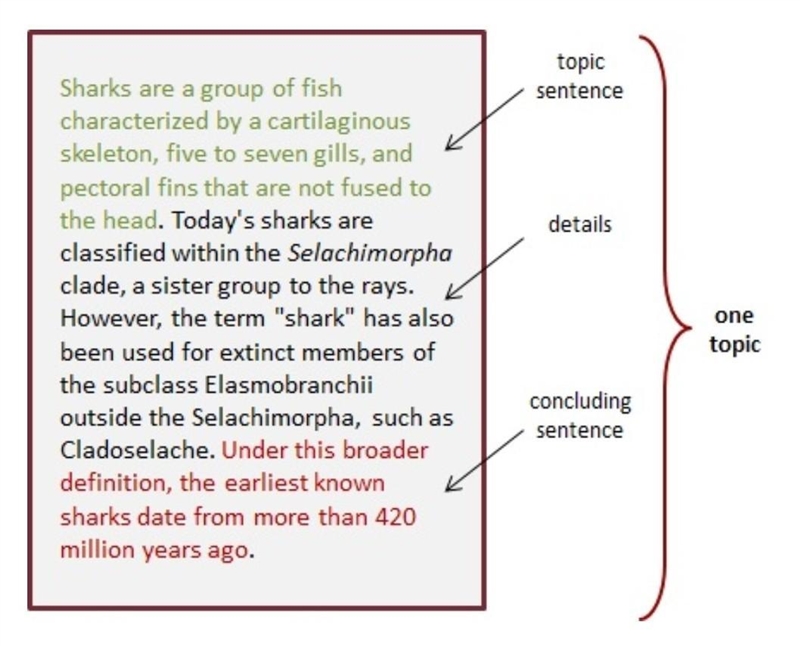 What is a paragraph?​-example-1