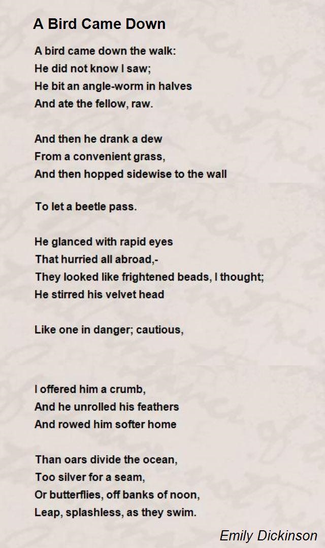 What could the poem be expressing? “A Bird, came down the Walk” PLEASE HELP ME!!! THANK-example-1