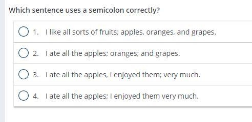 Which sentence uses a semicolon correctly-example-1