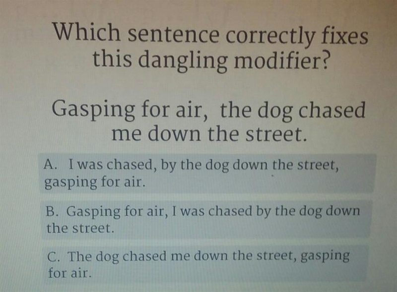 Which sentence correctly fixes this dangling modifier? Gasping for air, the dog chased-example-1