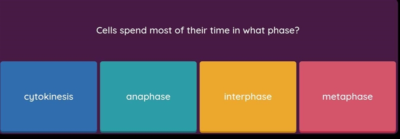 What is the correct answer?-example-1