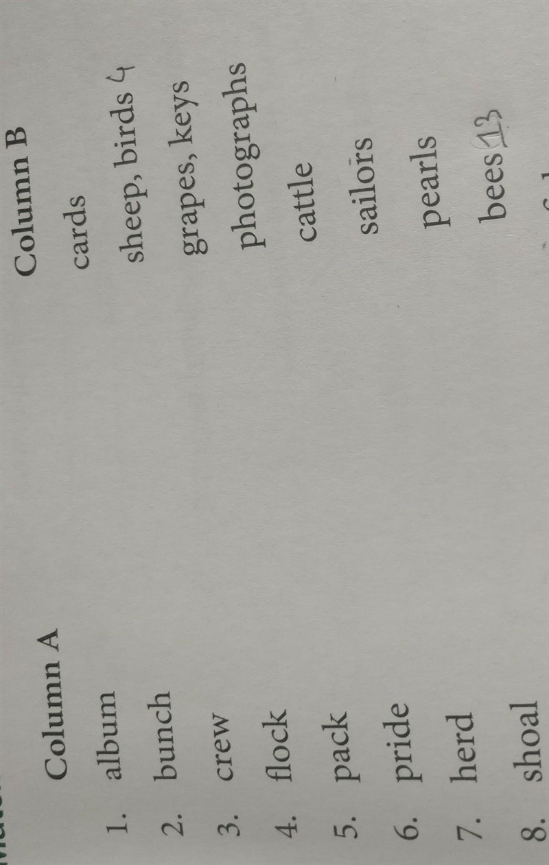 Match the collective nouns in column A with the objects they refer to in column B-example-1