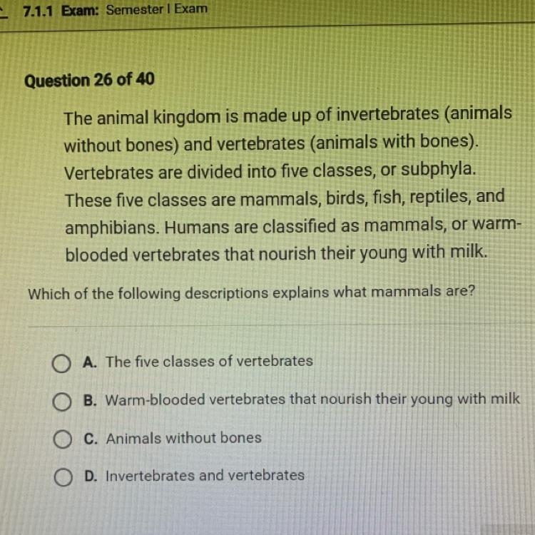 The animal kingdom is made up of invertebrates (animals without bones) and vertebrates-example-1