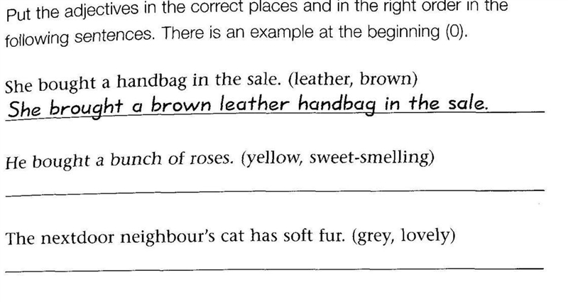 Put the adjectives in the correct place and in the right order in the following sentences-example-1