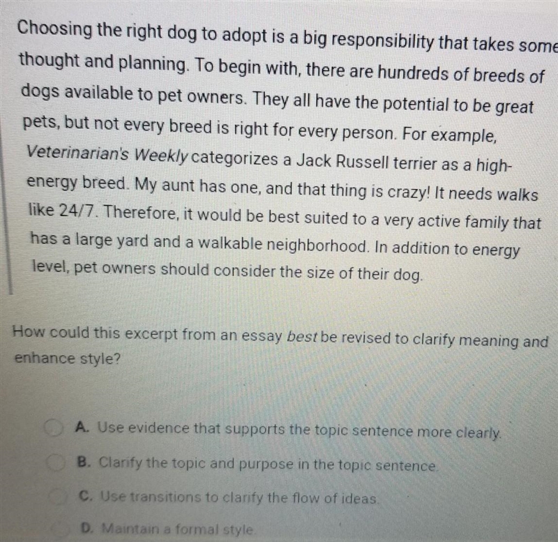 Choosing the right dog to adopt is a big responsibility that takes some thought and-example-1