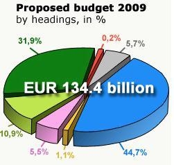 List the budget details by aligning the color next to the text to the pie chart. Example-example-1