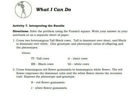 Solve the problem using the Punnett square pahelp po please​-example-1