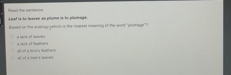 Read the sentence. Leaf is to leaves as plume is to plumage. Based on the analogy-example-1